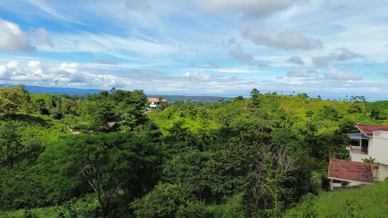 Steal of a Deal for an OCEAN VIEW Lot, photo 3