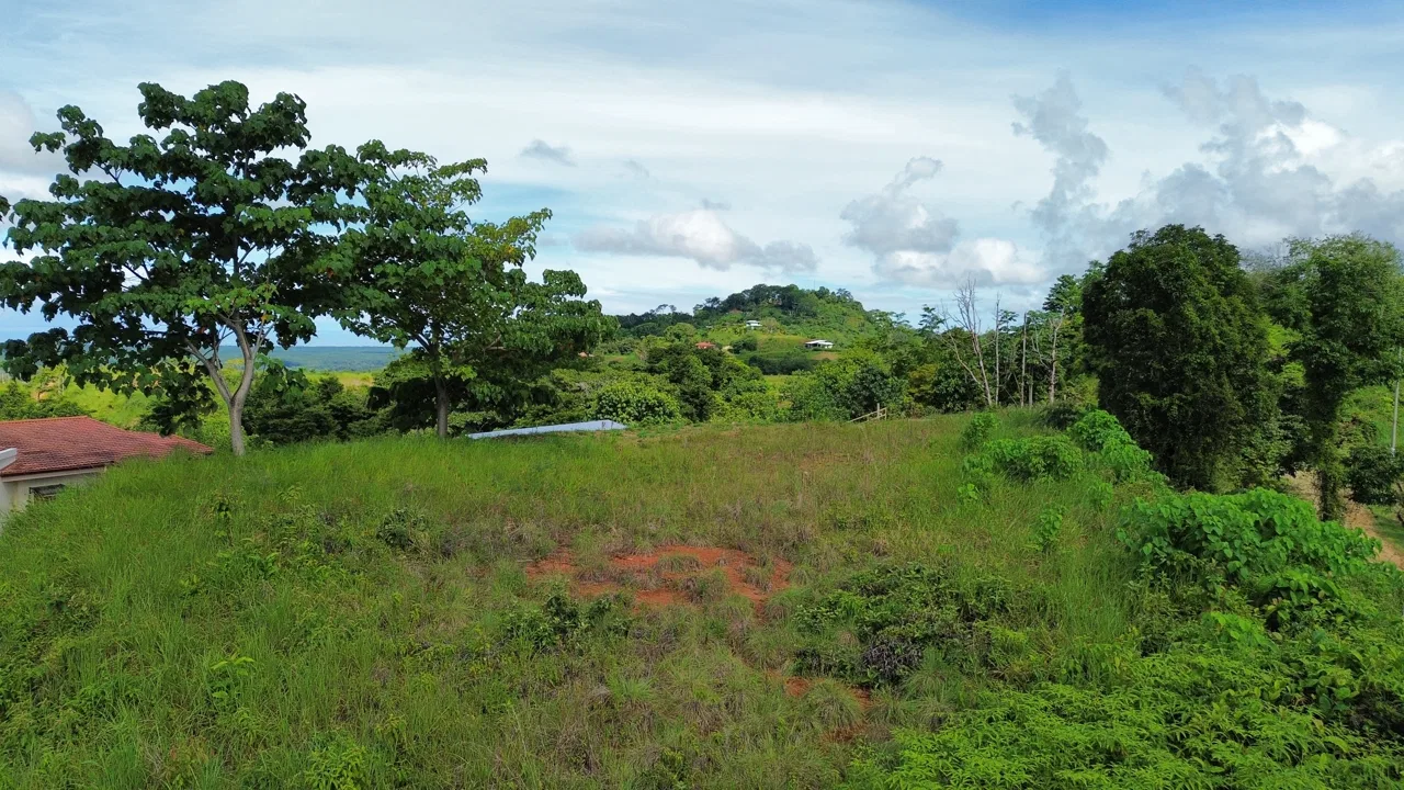 Steal of a Deal for an OCEAN VIEW Lot, photo 5