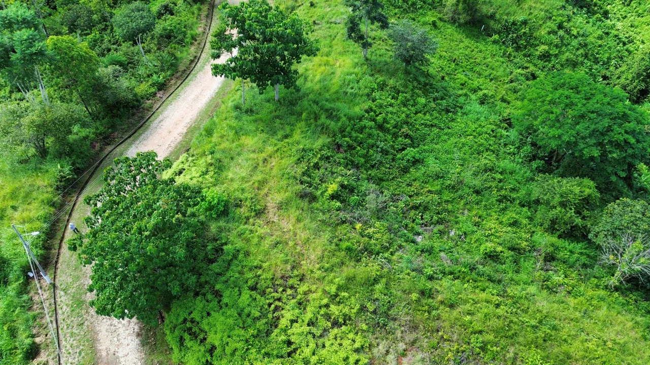 Steal of a Deal for an OCEAN VIEW Lot, photo 6