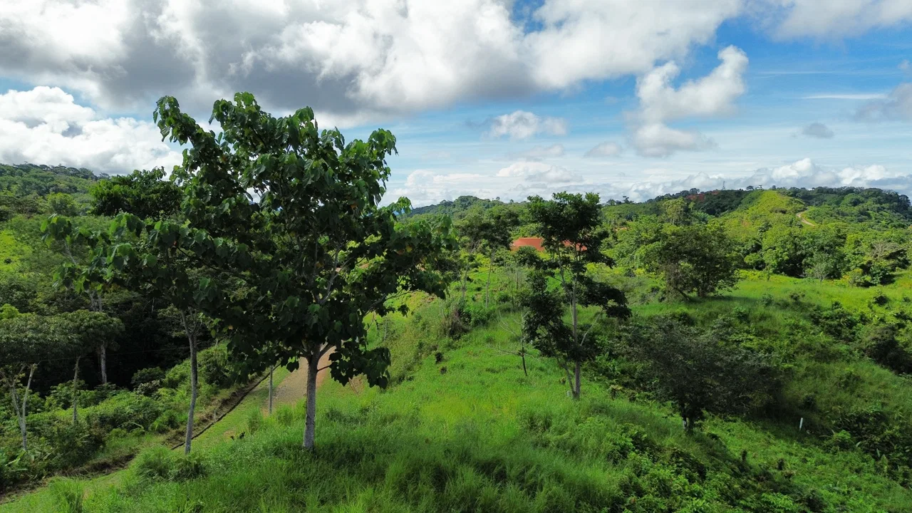 Steal of a Deal for an OCEAN VIEW Lot, photo 8