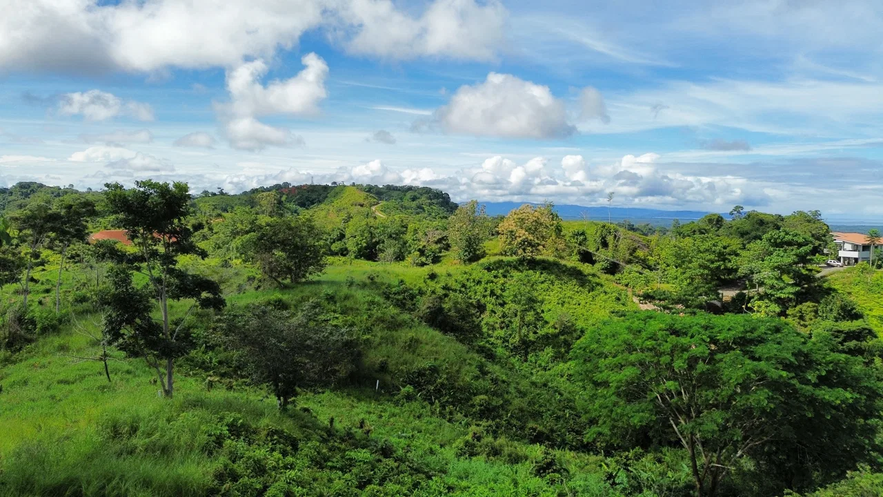 Steal of a Deal for an OCEAN VIEW Lot, photo 9