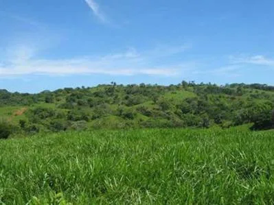 Gran Finca en Esterillos