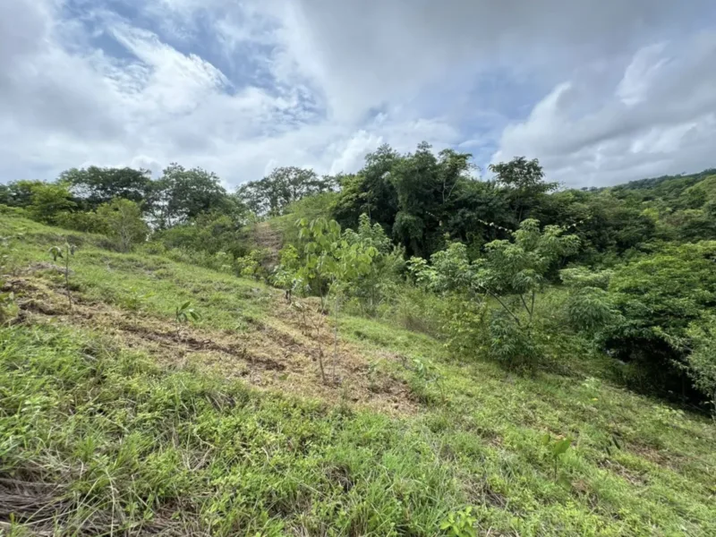Land For Sale in San Isidro Cobano