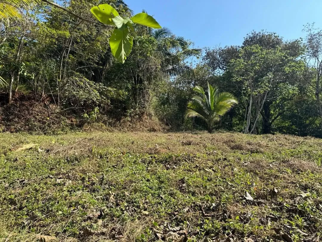 FLAT LOT IN SANTO DOMINGO — 10 MINUTES FROM SÁMARA