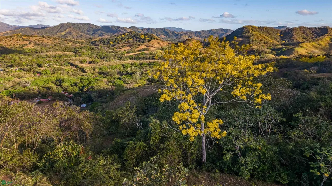 Lote Vista Verde Belen, Belen De Nosarita, Guanacaste 50207