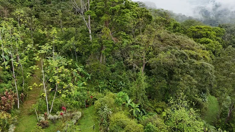 Private Estate with Breathtaking Diamante Waterfall, photo 12