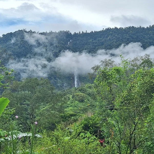 Private Estate with Breathtaking Diamante Waterfall, photo 9