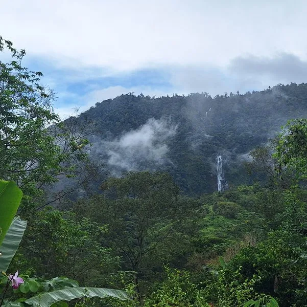 Private Estate with Breathtaking Diamante Waterfall, photo 10