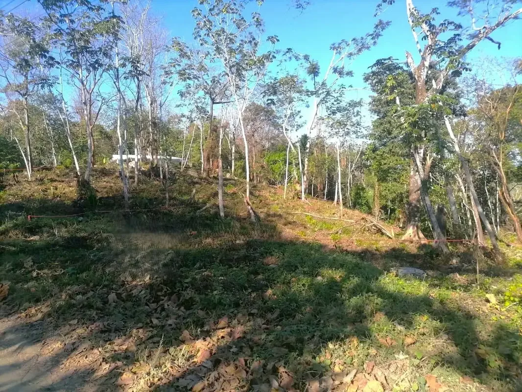 Your Slice of Paradise Awaits – Prime Lot for Sale in Santa Teresa, Costa Rica