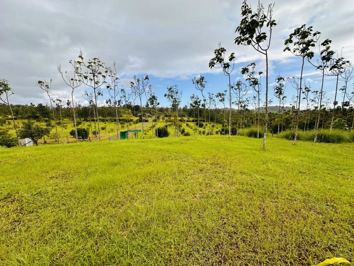 Prime 11.3-Acre Property with Subdivision Potential Near Quepos