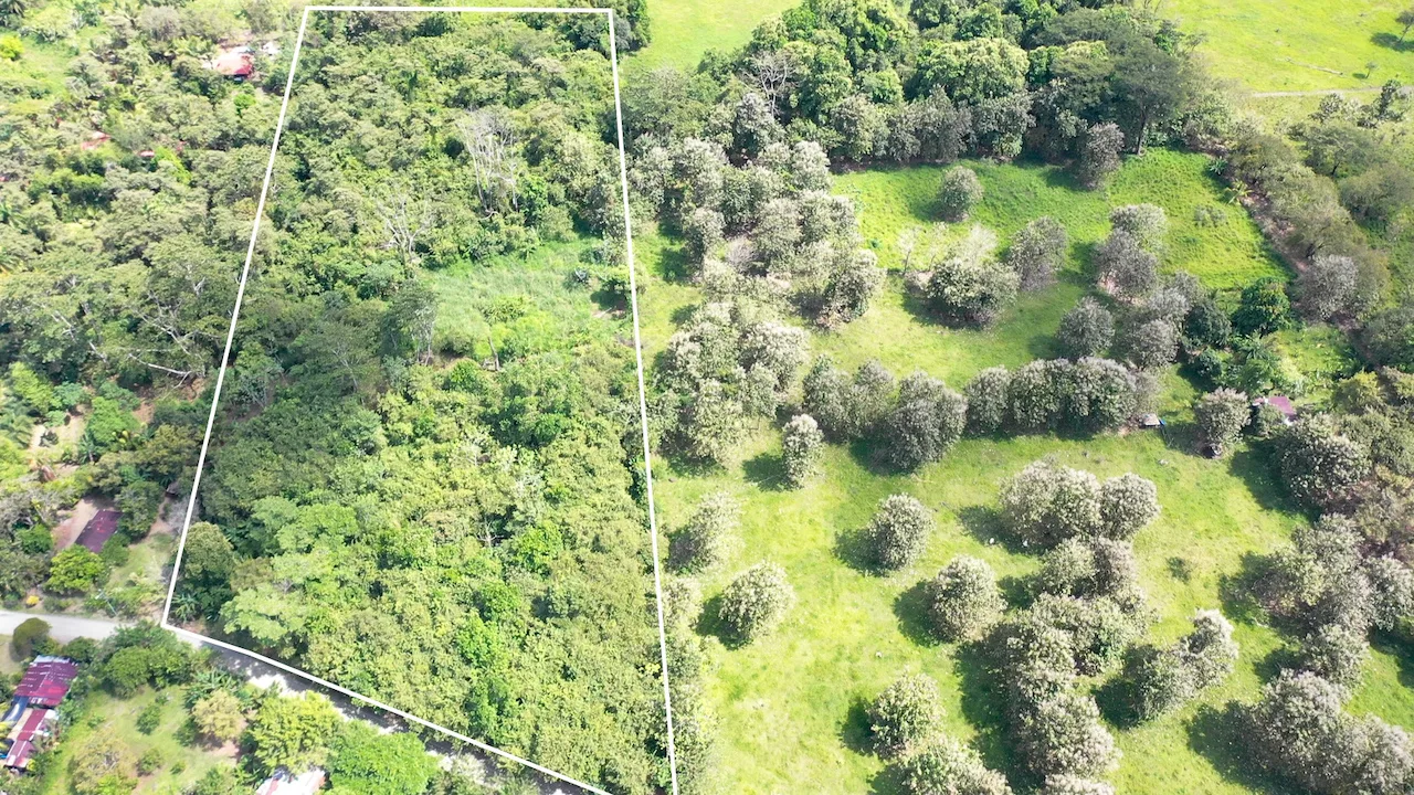 6 ACRES OF USABLE LAND 10 MINUTES TO THE BEACH