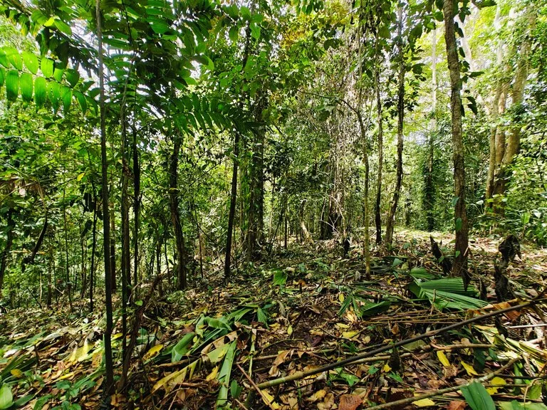 Development Parcel in Puerto Viejo