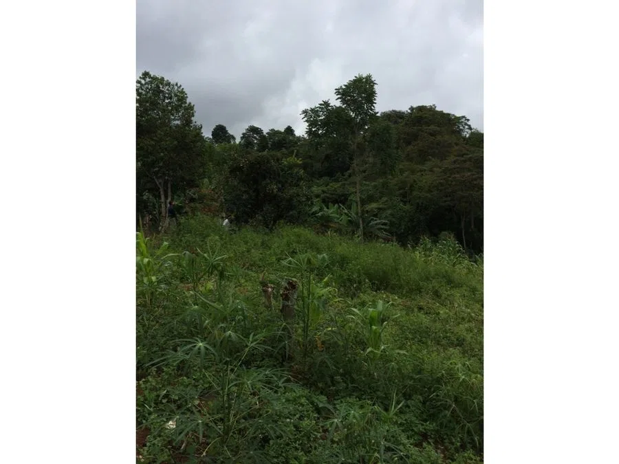 Lote en venta en Pérez Zeledón, Quebradas