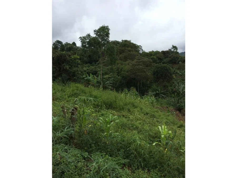 Lote en venta en Pérez Zeledón, Quebradas, photo 2