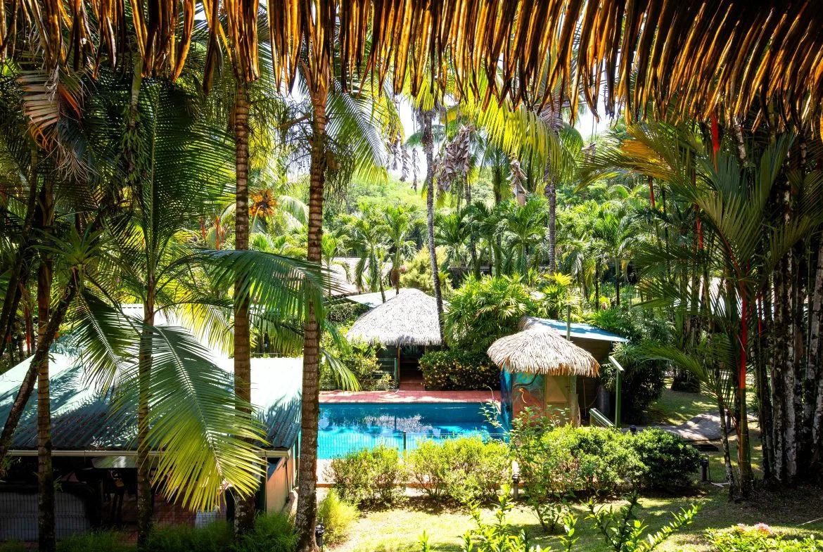 MAIN HOME, 3 CABINS, POOL, SUANA, AND WORKSHOP – 1.73 ACRES, photo 2