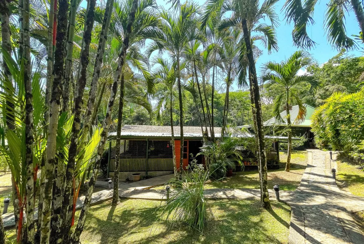 MAIN HOME, 3 CABINS, POOL, SUANA, AND WORKSHOP – 1.73 ACRES, photo 14