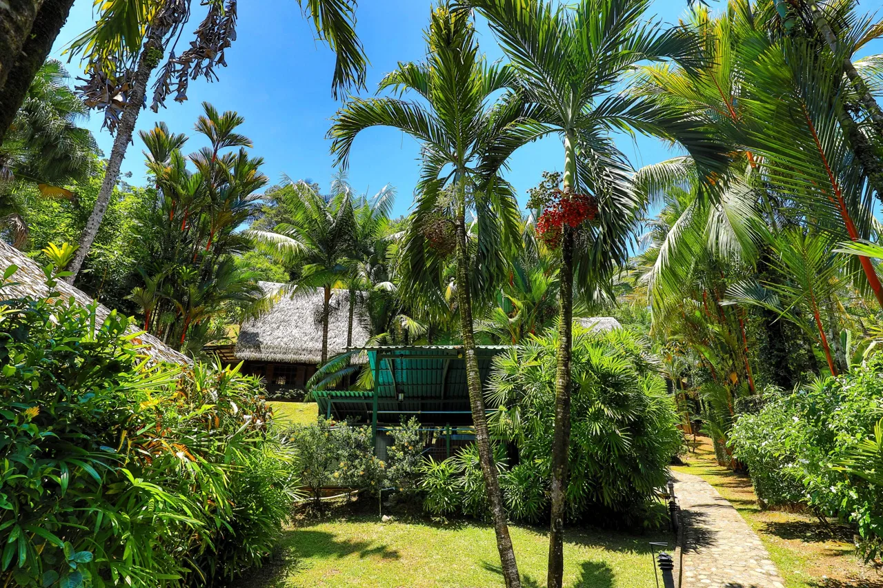 MAIN HOME, 3 CABINS, POOL, SUANA, AND WORKSHOP – 1.73 ACRES, photo 15