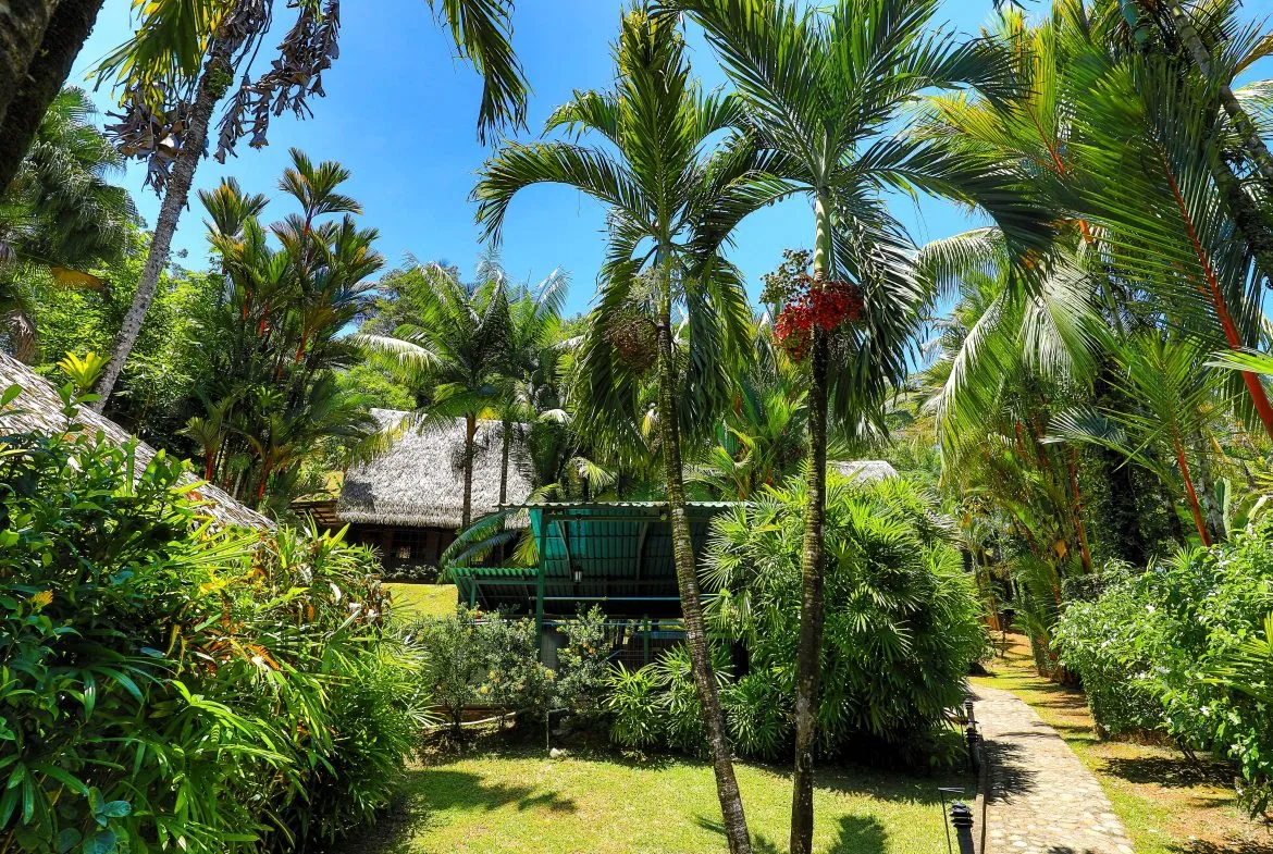 MAIN HOME, 3 CABINS, POOL, SUANA, AND WORKSHOP – 1.73 ACRES, photo 16