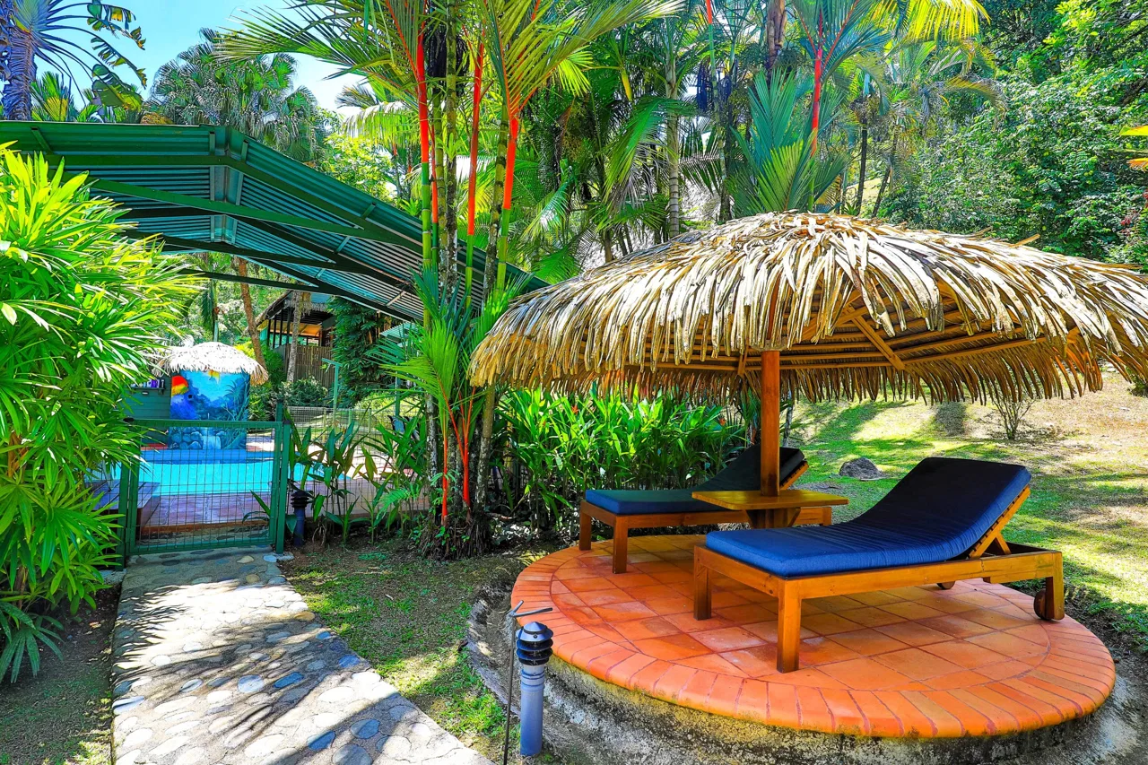 MAIN HOME, 3 CABINS, POOL, SUANA, AND WORKSHOP – 1.73 ACRES, photo 3
