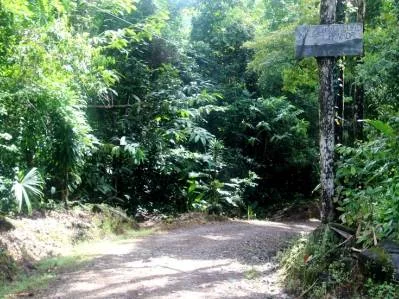Beautiful 72 Acre Farm In Uvita With Waterfalls And Ocean Views, photo 3