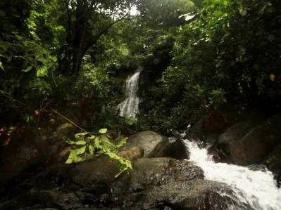 Beautiful 72 Acre Farm In Uvita With Waterfalls And Ocean Views, photo 6