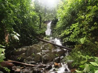 Beautiful 72 Acre Farm In Uvita With Waterfalls And Ocean Views, photo 7