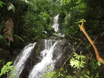 Beautiful 72 Acre Farm In Uvita With Waterfalls And Ocean Views, photo 8
