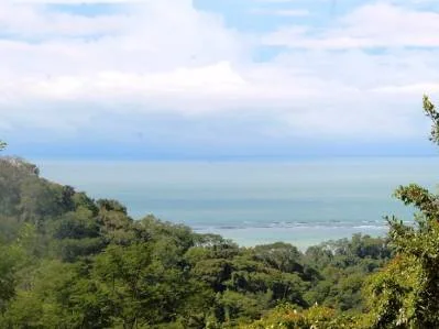 Beautiful 72 Acre Farm In Uvita With Waterfalls And Ocean Views, photo 9