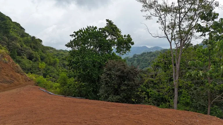 UNPARALLELED OCEAN VIEW LAND IN OJOCHAL, COSTA RICA, photo 5
