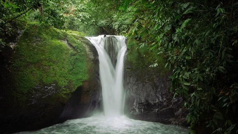 UNPARALLELED OCEAN VIEW LAND IN OJOCHAL, COSTA RICA, photo 7