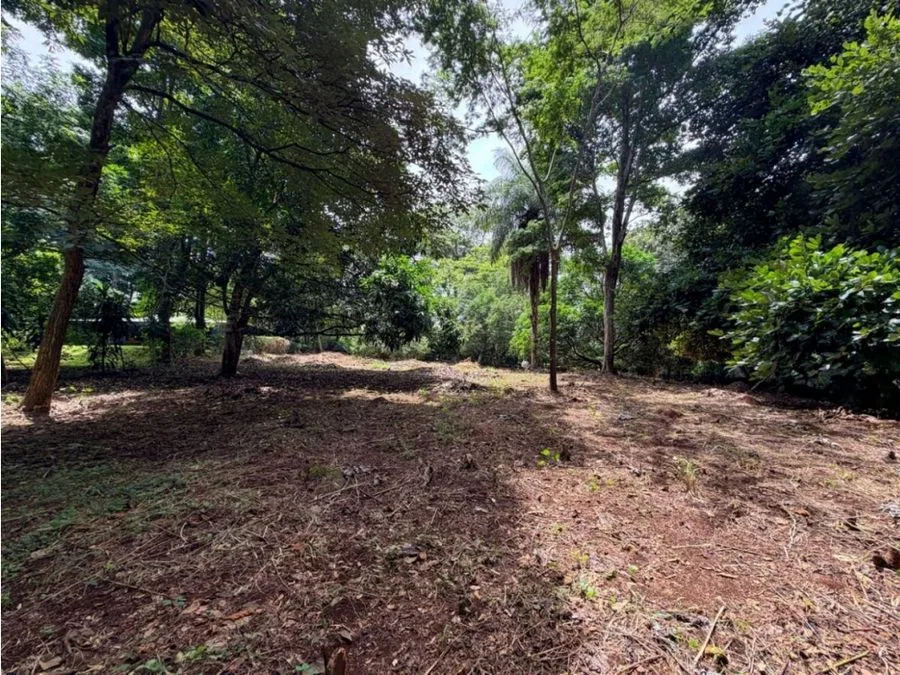 Venta de lotes contiguos en San Mateo de Alajuela