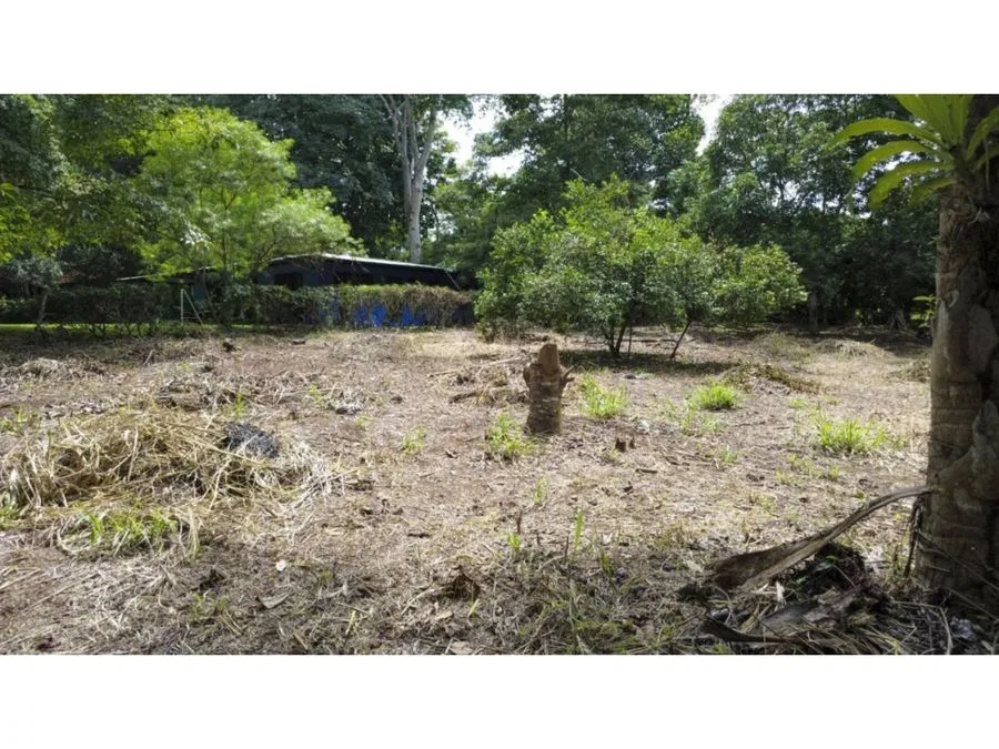 Venta de lotes contiguos en San Mateo de Alajuela, photo 2
