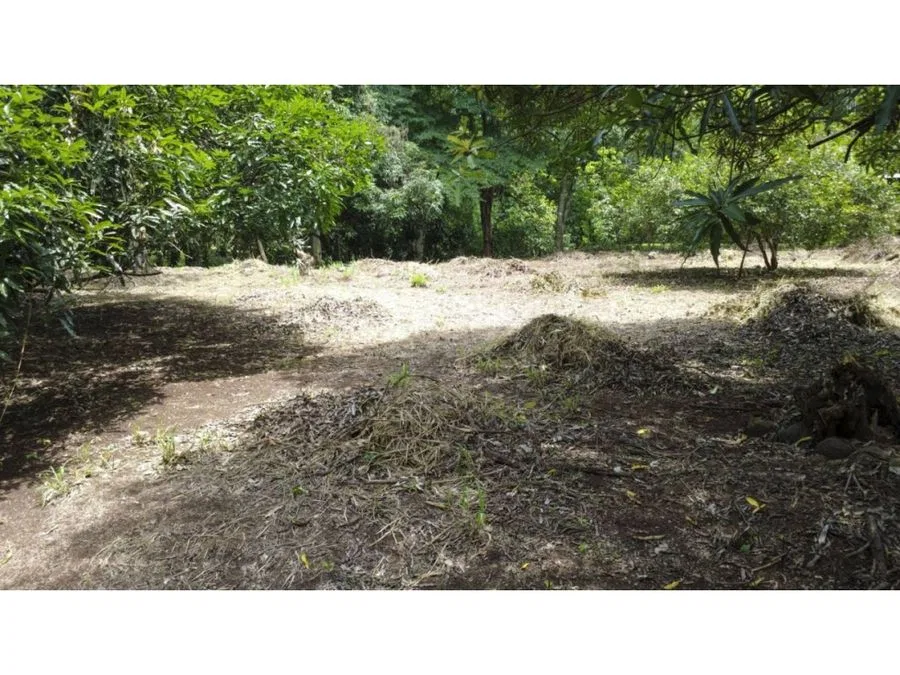 Venta de lotes contiguos en San Mateo de Alajuela, photo 3