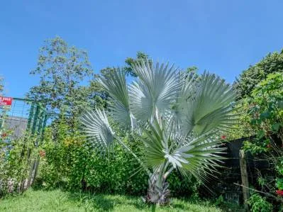 Casa de playa en venta en Playa Chamán, photo 10