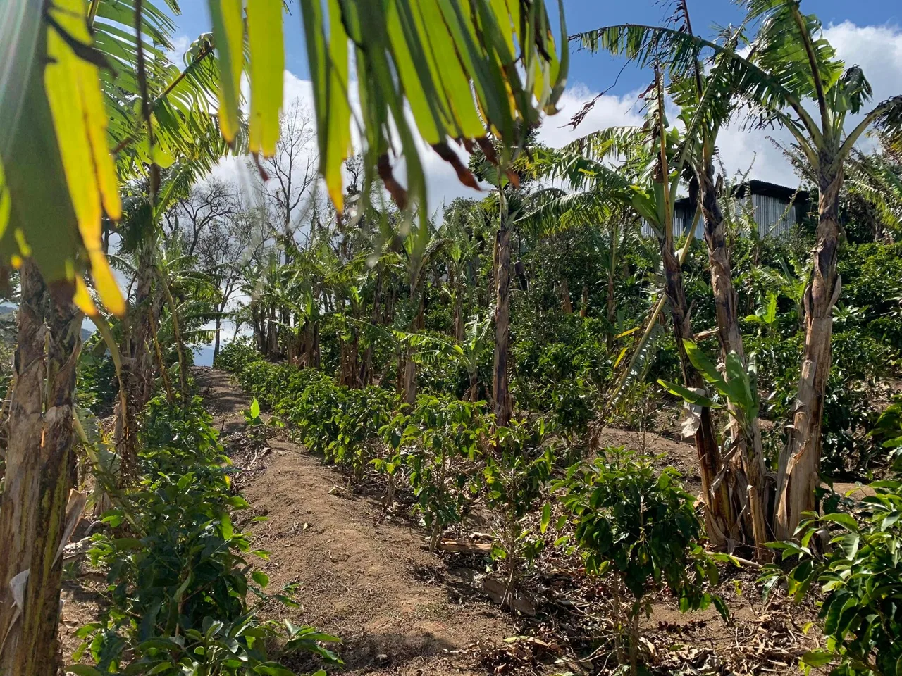 Lote en Venta en San Cristobal ,Desamparados, photo 5