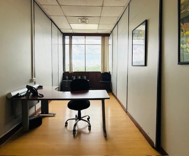 Office building for rent in Paseo Colon San Jose, Costa Rica, photo 9