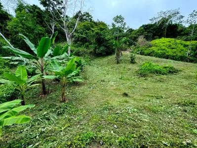 Terreno con vista al mar, 50 % plano y utilizable, camino público, agua ASADA, árboles frutales., photo 3