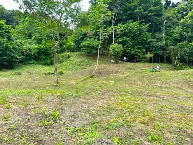 Terreno con vista al mar, 50 % plano y utilizable, camino público, agua ASADA, árboles frutales., photo 4