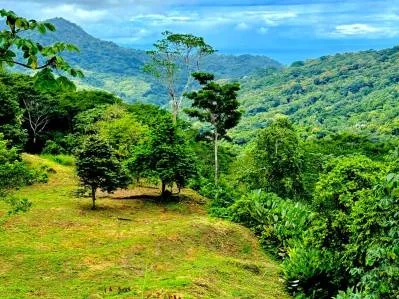 Terreno con vista al mar, 50 % plano y utilizable, camino público, agua ASADA, árboles frutales., photo 8
