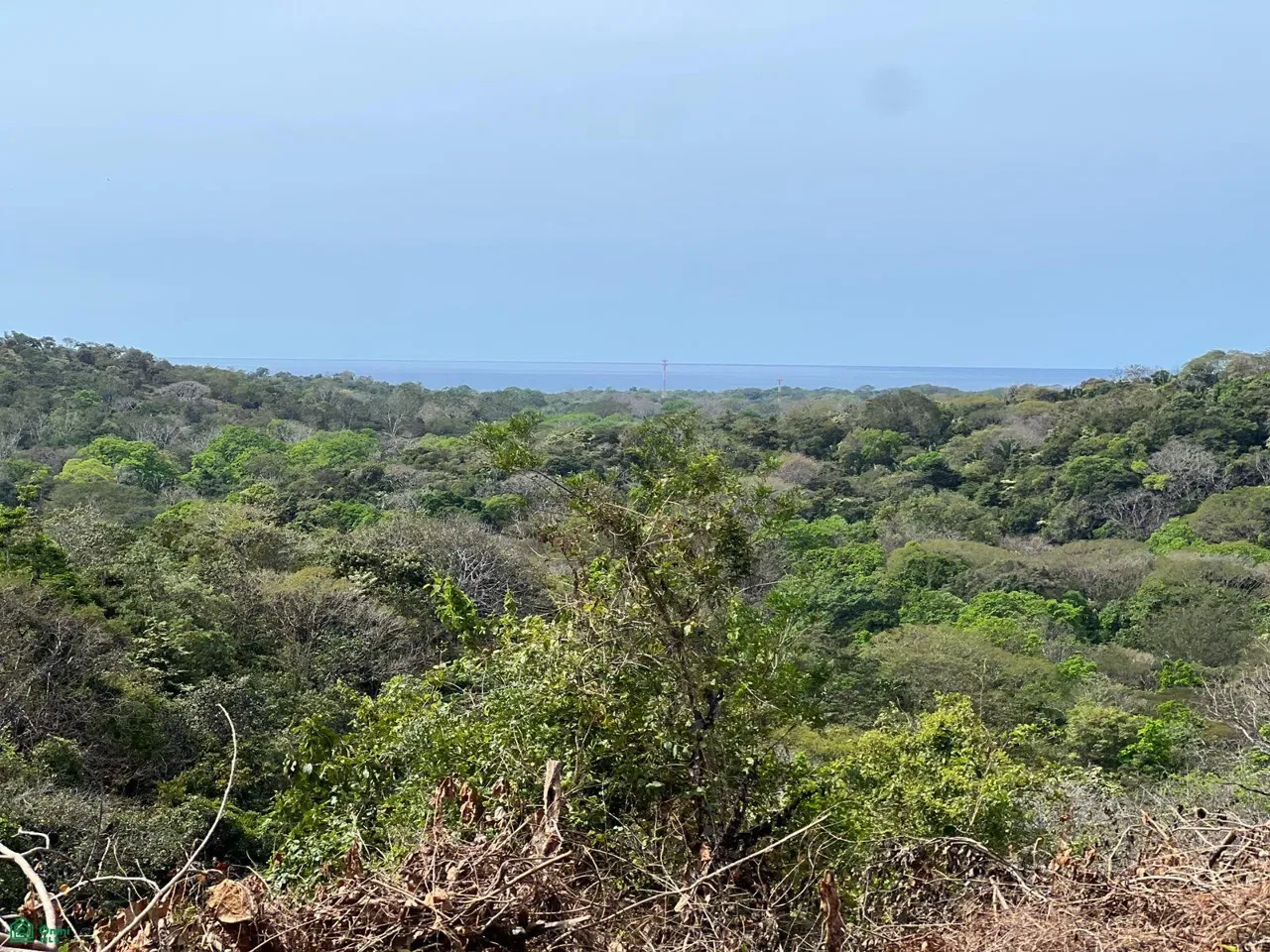 Emerald Woods Lot #16 Ocean-View Property in Playa Marbella, Cuajiniquil, Guanacaste 50306