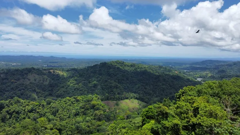 Development Parcel in San Lorenzo de Tarrazú