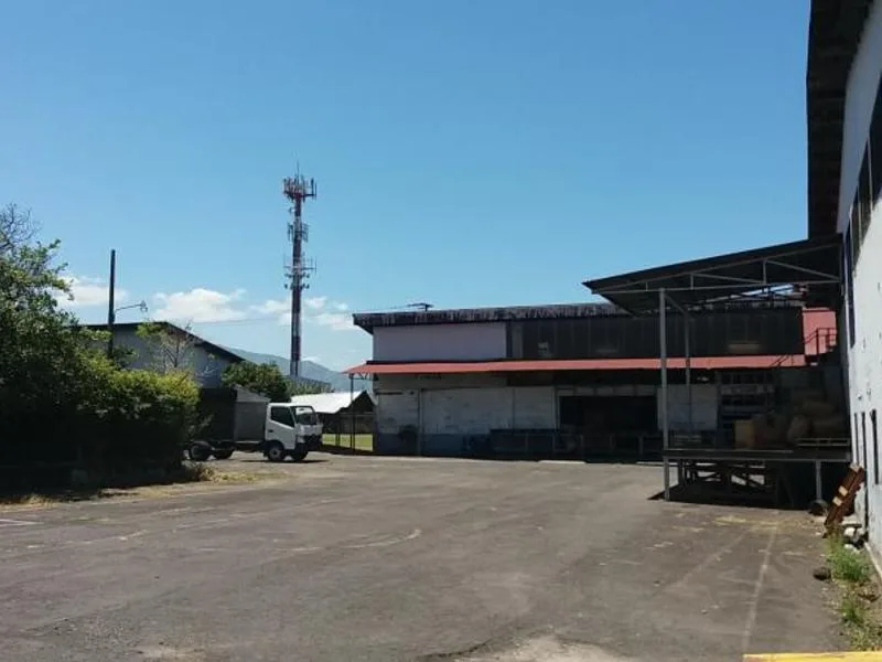 Land For Sale in Zapote, photo 5