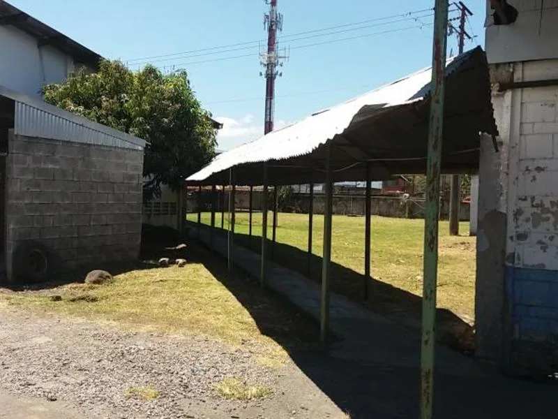 Land For Sale in Zapote, photo 6