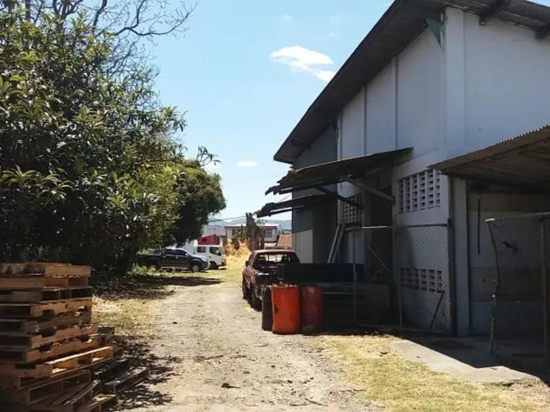 Land For Sale in Zapote, photo 7