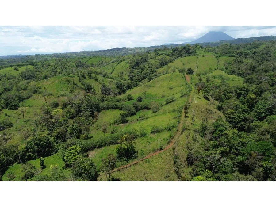 Tu Paraíso Privado: Finca con Gran Potencial en San Carlos
