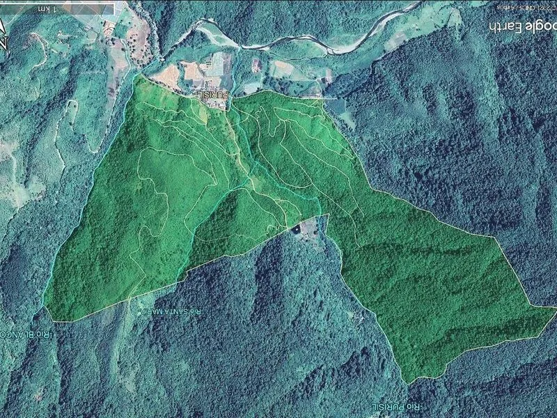 Land For Sale in Orosi