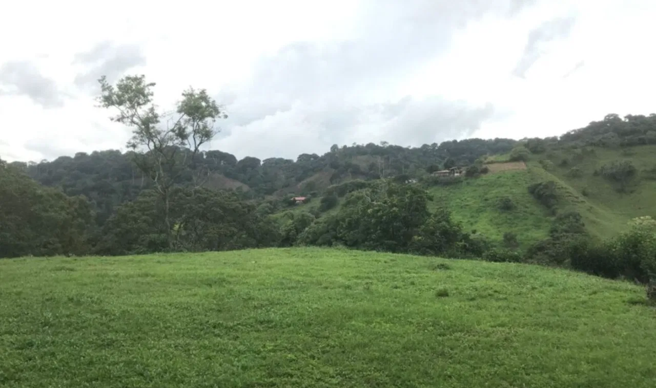 Ready-to-Build Farm Property for Private Use - Priced at $295,000 USD