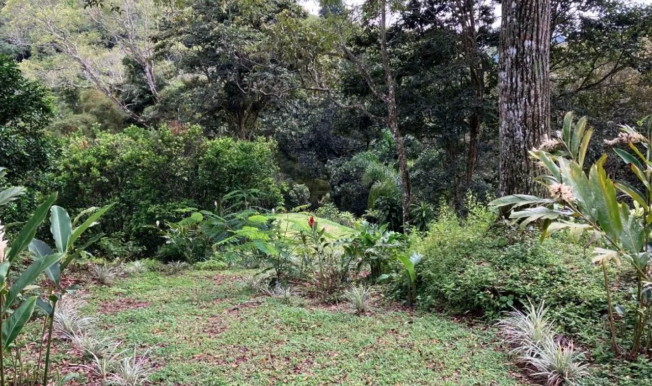 Ready-to-Build Farm Property for Private Use - Priced at $295,000 USD, photo 2