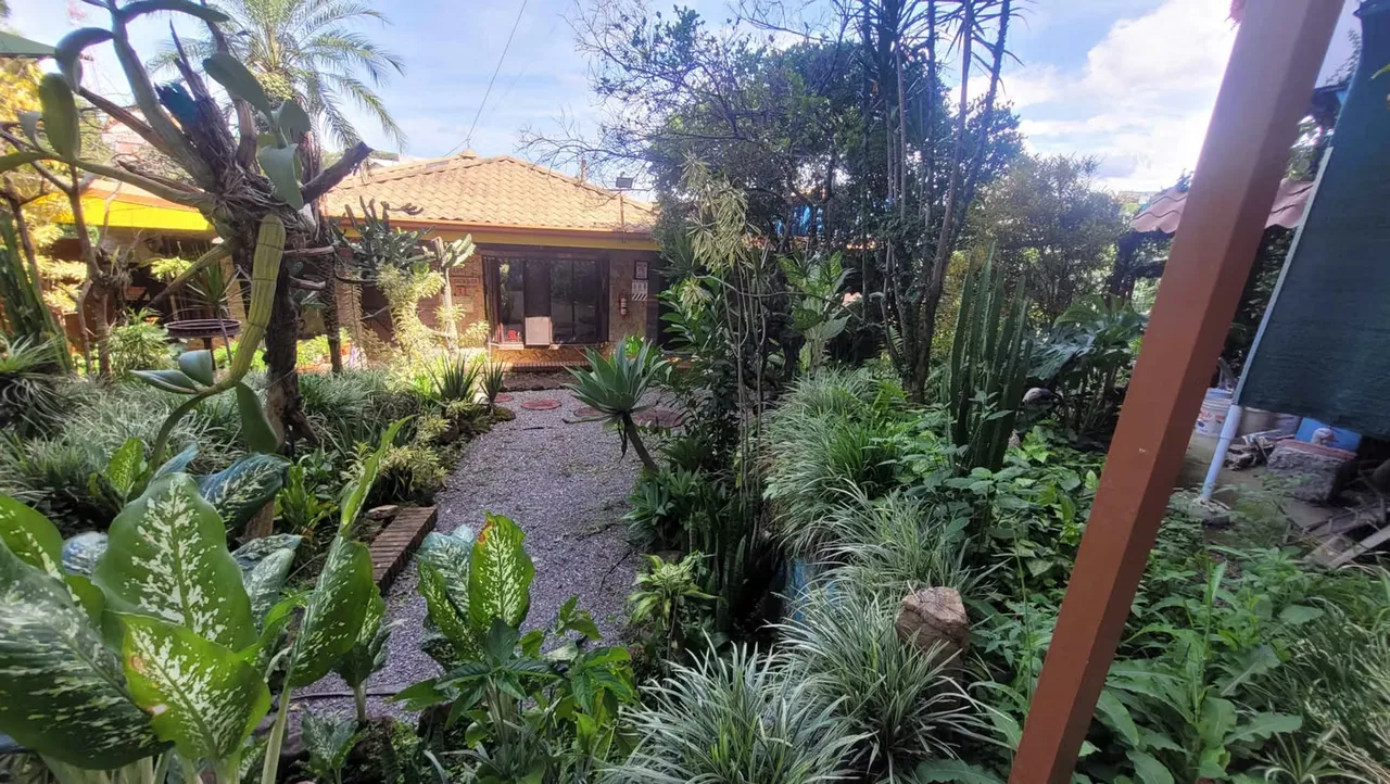 House for sale in Residencial, 1809 Mtrs of land. 1198mtrs of construction., photo 4