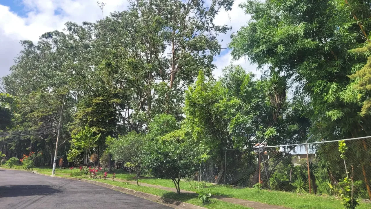 House for sale in Residencial, 1809 Mtrs of land. 1198mtrs of construction., photo 10
